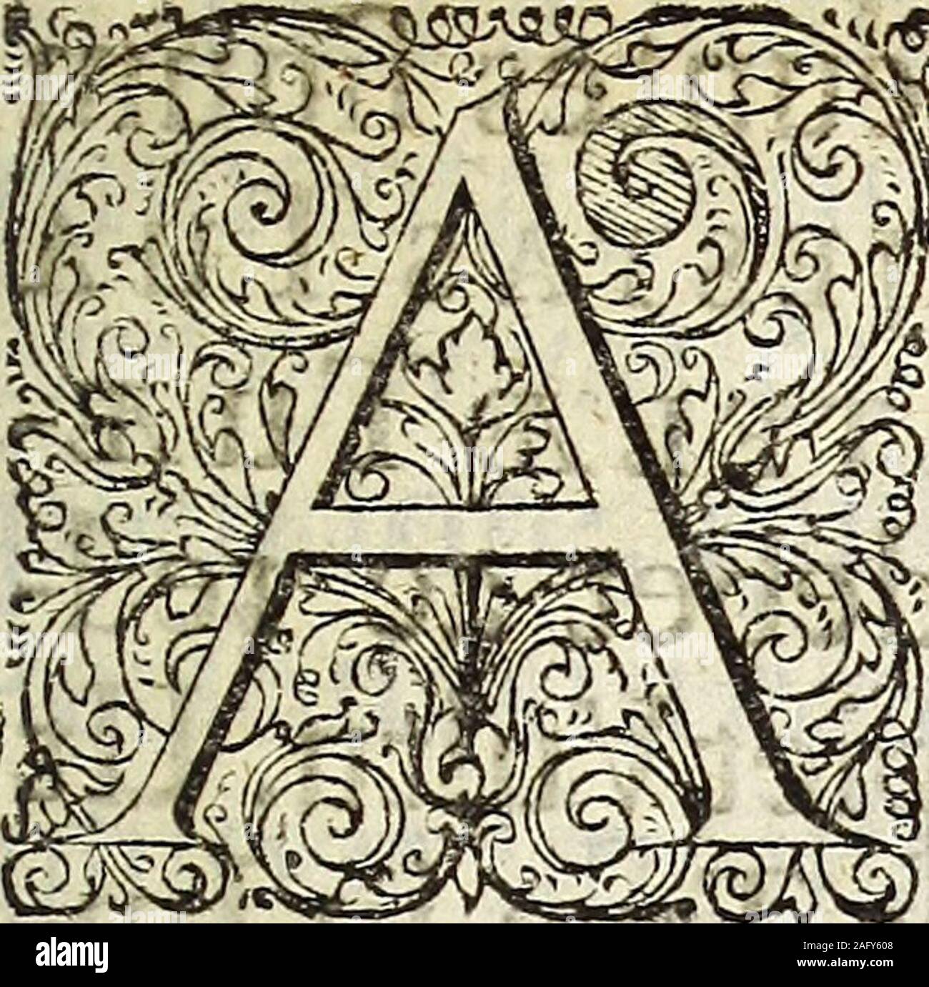. Miscellanea Curiosa Medico-Physica Academiae Naturae Curiosorum. B O H E M I M,DALMATI^ CROATU, ^ A.V L O N I M &e. REGI, Archi- ARCHIDUCI AUSTRI^, BURGUNDIiE,BRABANTI£, S T I R I JE,CARlNTHIiE,CARNIOLiE LUTZENBURGI,WURTENBERGjE 1 ac SILES IJB DUCI, COMITI TIROLIS<3cc, &c. AUGU-. jtlGUSTISSIMA MAJE-Statistiche sulla r Tu^, INDIIL-GENTISSIME C JESAR, Clernentia, qua fubje-£bilfimam Naturce - cu-^rioforum Jlcademiamnon definis refpicere, immo beoi-gniffime fovere, eam foecunditatemSocietati ijii Iargita eft, utmefiesfuasannuas iterum offerat humiliime a-que confecretrTu o prarfum, fare m i-ne> alle£ta Foto Stock
