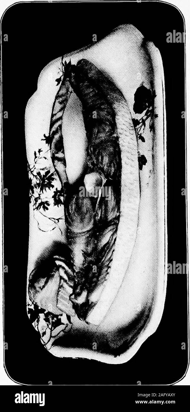 . Che cosa hanno per pranzo. ntil riscaldata attraverso; poi girare andspread l'altro lato con una pasta di crema!129 Salmone arrostito il burro e la farina; sapore con onionand macinate la polpa di pomodoro. Cuocere fino al bruno e servewith questa crosta lato verso l'alto. Salmone bollito luglio legare a tre o quattro-pound pezzo di freshsalmon in un quadrato di stoffa di formaggio; immersein acqua bollente e lasciare sobbollire da toforty trenta minuti o fino a quando la carne verrà sepa-tasso facilmente. Scolarlo togliere pelle, eil osso se possibile e ridisporre come awhole pezzo su un piatto caldo; o servire porzioni inindividual, coperto con bianchi spessi Foto Stock