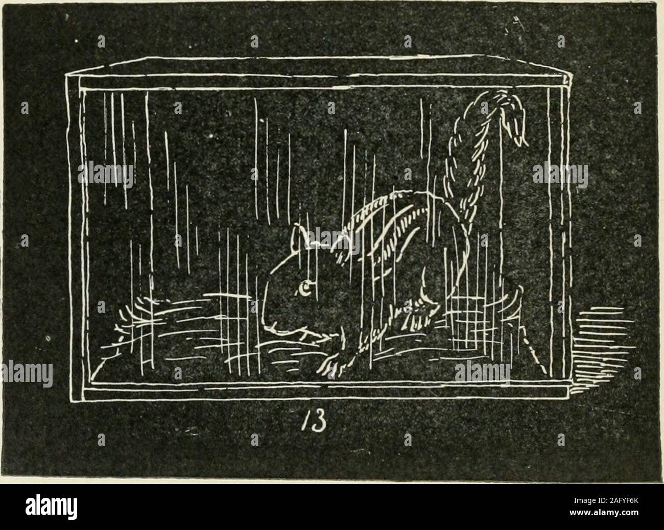 Augsburg Il Disegno Del Libro 2 Disegnare Il Gran Parte Prima Ayhen Un Oggetto Come Un
