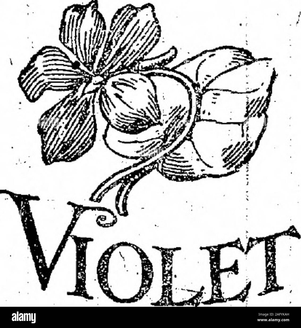 . Boletín Oficial de la República Argentina. 1919 1ra sección. Octubre: 17 da1 1913. - K. vvalíeíry figli, Limiteid1, mi- Para distinguir;confecciones, calzados, sastrería, • soiri-Tbreírería, pasamanería, .bonetería, tena-i-das, puntillería, abaniquería, paragüerías-mercería, guantería, perfumería, tafi-letería, de te oíase, 16. -. Aviso Sí*S375. • ¡ | ..:.. .: , E-28 orifabre v-3 noviembre ¡. Octubre 17 do H.13. -4 Taire Brosy Co. Limitato. - Para distinguir cau-cho, goma, guttapercha en bruto entoáa y forma de preparación y artícu-los fabricados con esa substancia?, noortopédicos de cirugía Foto Stock