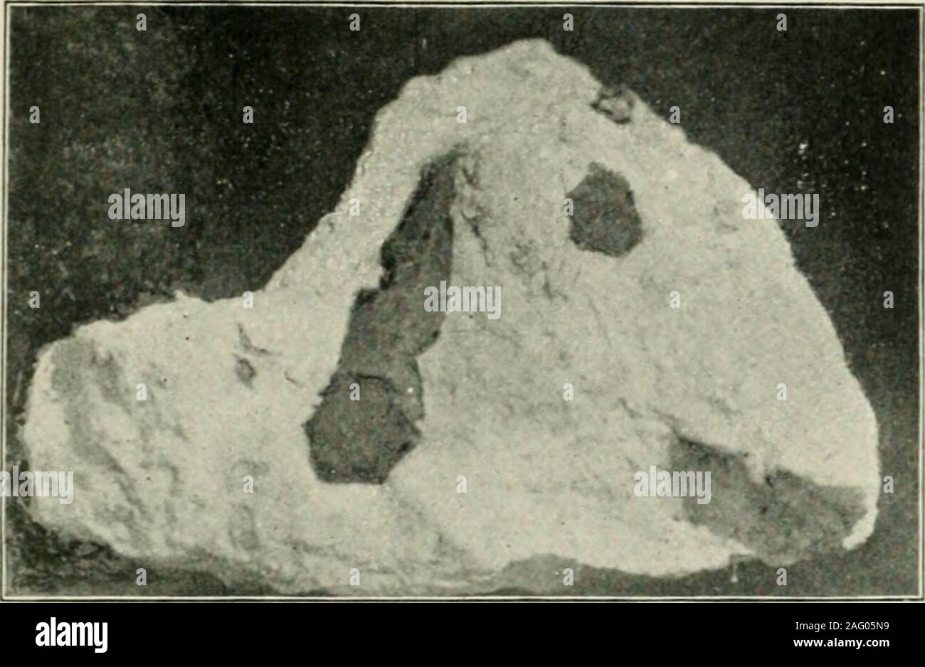 . Ontario documenti di seduta, 1897-98, No.33-66. La magnetite in luogo di corindone, in sienite.. C31 Coniinlutii cristalli di nefelina sienite, dal sacco 34, cost. V, Brudenell-1-3 dimensione naturale (p. 216J. Foto Stock