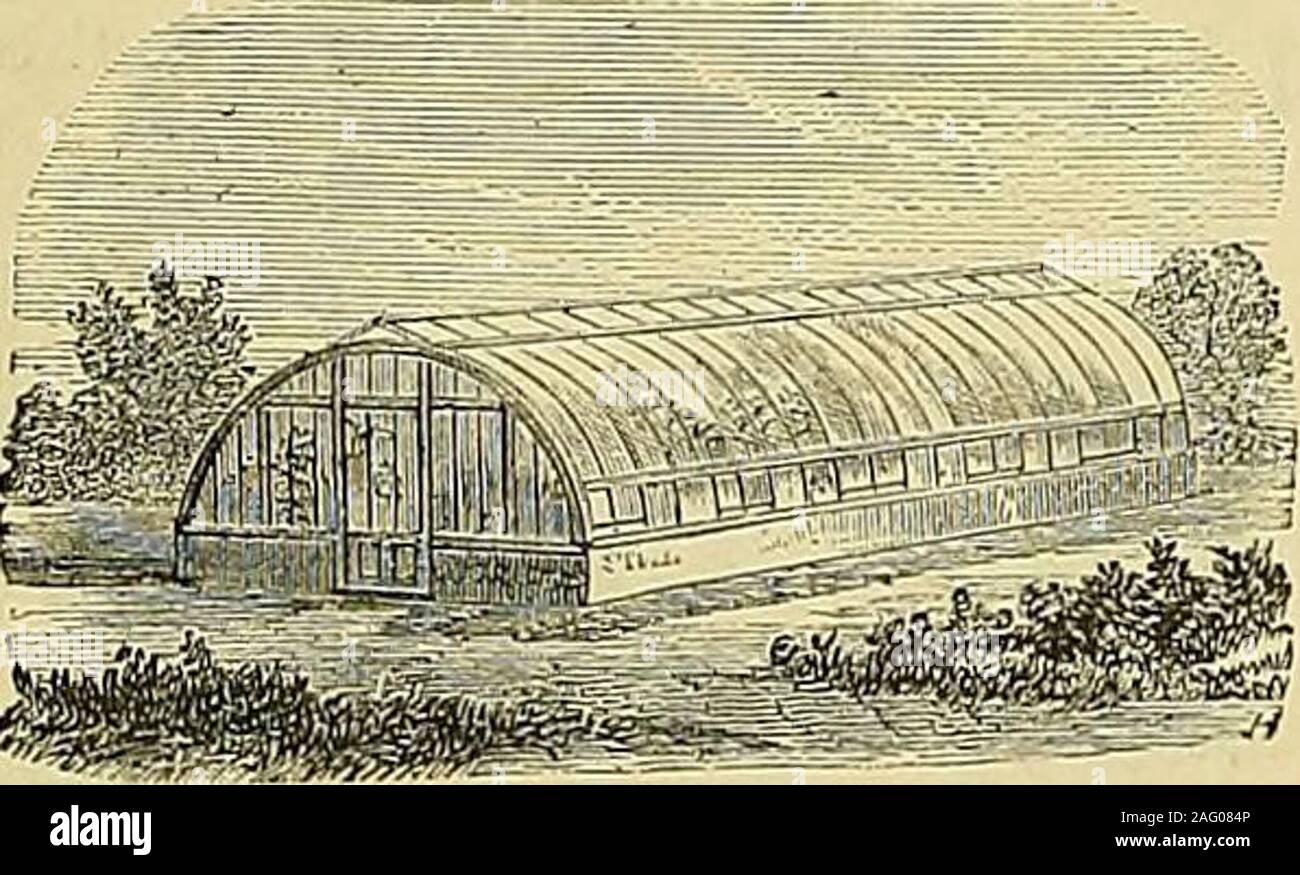. I giardinieri' cronaca : un settimanale illustrato ufficiale di orticoltura e allied soggetti. SE f^ 3^ SKTION DEL BREVETTO VENTILATORE DEL TETTO inustralicfii, listini prezzi e Tcstimoui-lh libero. Hot-acqua apparecchiatura fissata in una qualsiasi parte del theKlnsdom e garantito. W. RICHARDSON cS; CO., orticole costruttori & Hot-ingegneri dell'acqua,DARLINGTON,. Il brevetto LASCELLES WOODCONSERVATORIES piegata e serre.-AllGardeners sapere che il legno è meglio di ferro per impianto Groov-ing e dal sistema di cui sopra un bel ctirved house può beerected come a buon mercato come un plahi diritta, la casa di curva è più resistente, st Foto Stock