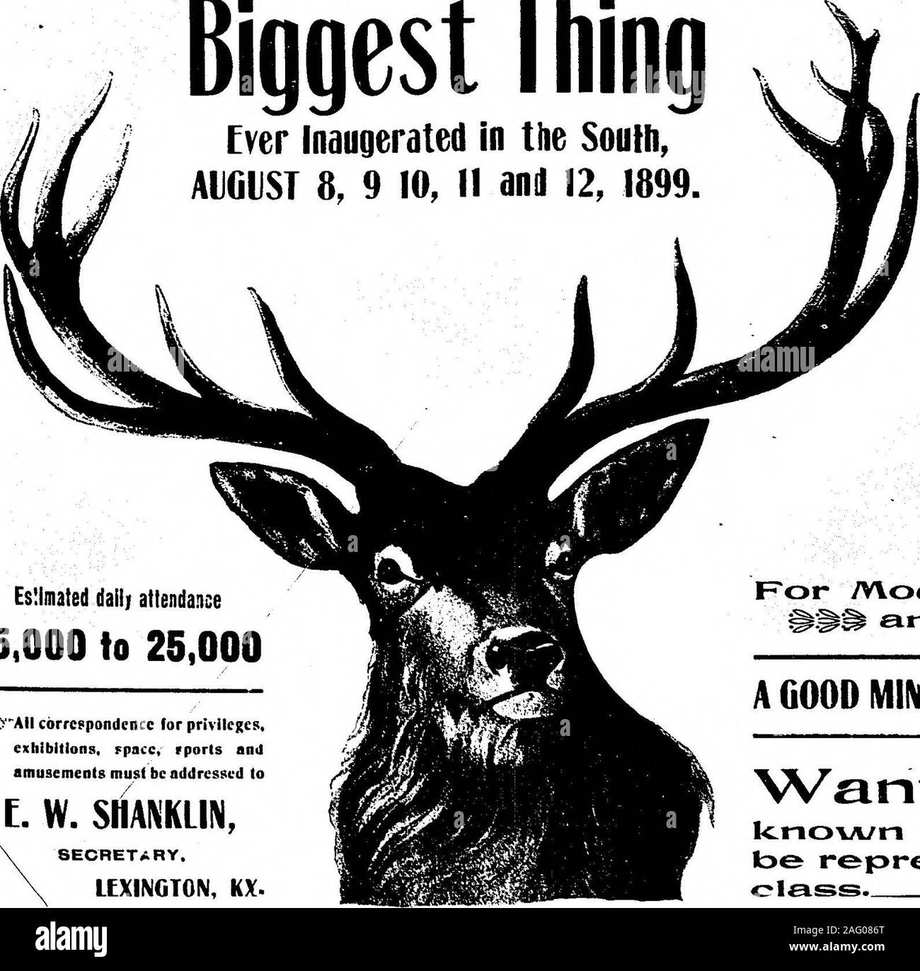 . Affissioni Jan-Jun (1899). LEXINGTONHORSE mostra sotto egida della fiera e il Carnevale Lexington Lodge n. 89,... B. P. 0. Elks... Privilegi per lasciare EsJmated presenza giornaliera di 15.000 a 25.000 IMrAII corrispondenza dei privilegi di tor,Mostre, spazio rports andamusements deve essere indirizzata a E. W. SfiANKLIN, segretario. LEXINGTON, KX. Per la moderna LJp-a-ciate Sport iSs^^ emd divertimenti. Una buona MINIERA DI LUCKY offerenti per lo spazio. Volle che ogni INeA/ ettid romanzo E>cHifc"sizione k.noA/" riuman trie gara alla punta rappresentato. Deve fc>e primo- n Si! 1 Se noi come IP se ho l! . 12 Il tabellone. fUST 0F F Foto Stock . Affissioni Jan-Jun (1899). LEXINGTONHORSE mostra sotto egida della fiera e il Carnevale Lexington Lodge n. 89,... B. P. 0. Elks... Privilegi per lasciare EsJmated presenza giornaliera di 15.000 a 25.000 IMrAII corrispondenza dei privilegi di tor,Mostre, spazio rports andamusements deve essere indirizzata a E. W. SfiANKLIN, segretario. LEXINGTON, KX. Per la moderna LJp-a-ciate Sport iSs^^ emd divertimenti. Una buona MINIERA DI LUCKY offerenti per lo spazio. Volle che ogni INeA/ ettid romanzo E>cHifc"sizione k.noA/" riuman trie gara alla punta rappresentato. Deve fc>e primo- n Si! 1 Se noi come IP se ho l! . 12 Il tabellone. fUST 0F F Foto Stock