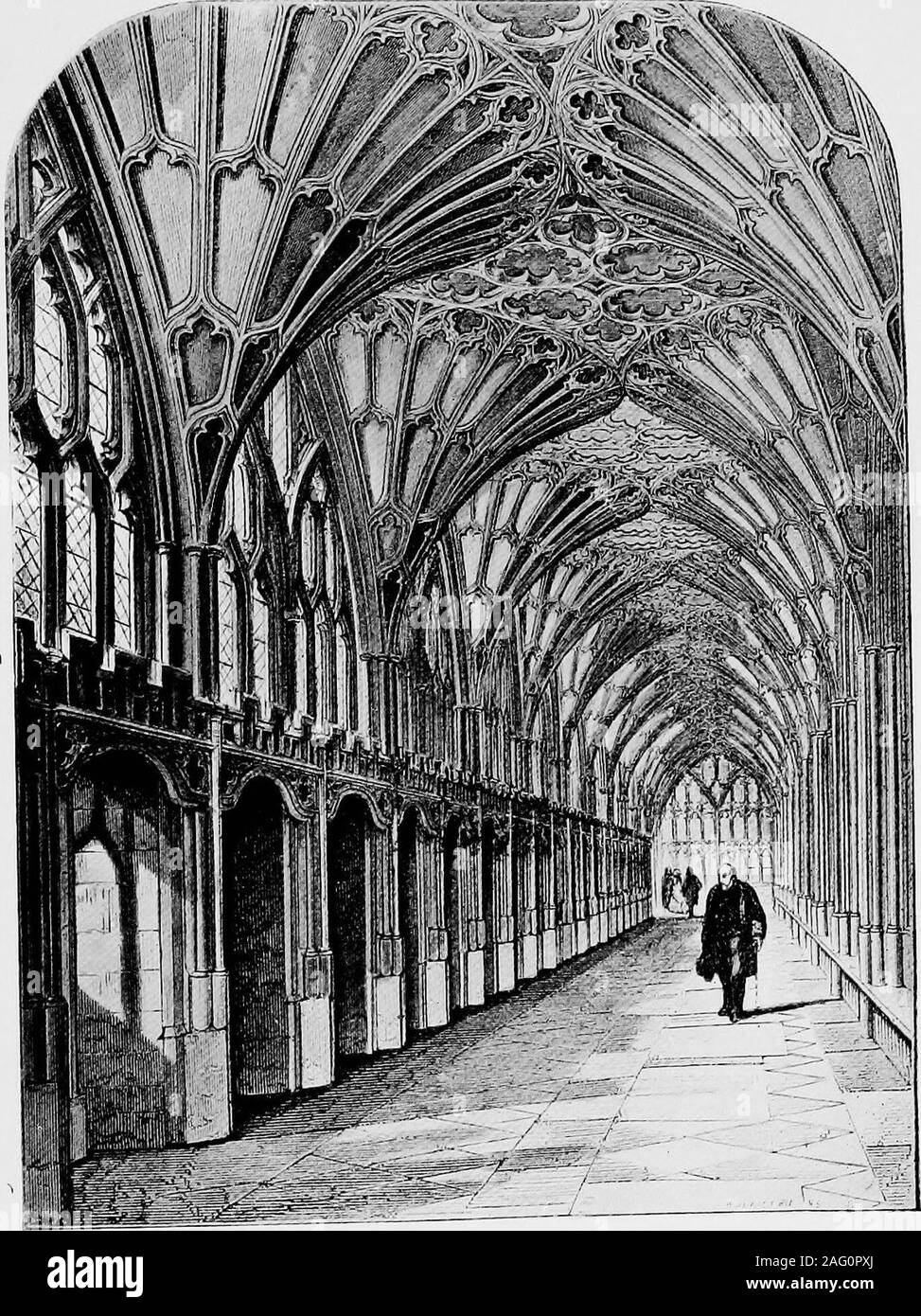 . Old english librerie; il processo decisionale, raccolta e uso dei libri durante il medioevo. ontriv-ances carrells chiamato per il comfort dei monaci atstudy.* tali incavi sono ad essere trovati a Worcester andGloucester; resti di alcune esistono all'estremità sud del thewest a piedi dei chiostri a Chester, e altri sono stati trovanella distrutto il sud a piedi.* presso la cattedrale di Gloucester,che era precedentemente noto come l'Abbazia benedettina di San Pietro,sono venti bella carrells nel sud chiostro. Theyproject sotto i dieci finestre principali, due in ciascuno e arearched, con sommità merlata o cornici. Ad eccezione peril piccolo d Foto Stock