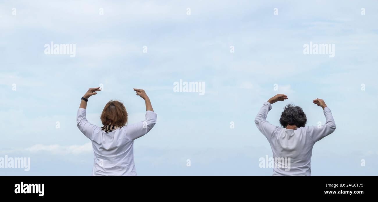 Vista posteriore del maturo donne praticanti Falun Dafa / il Falun Gong in esterno Foto Stock