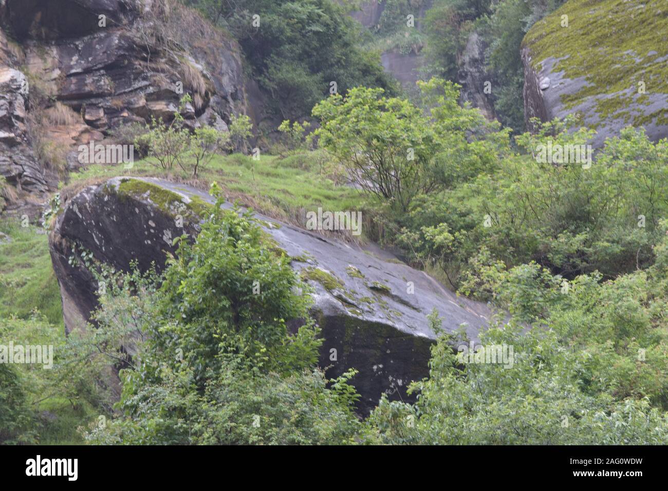 Le splendide montagne di Jogini acqua cade, Manali Foto Stock