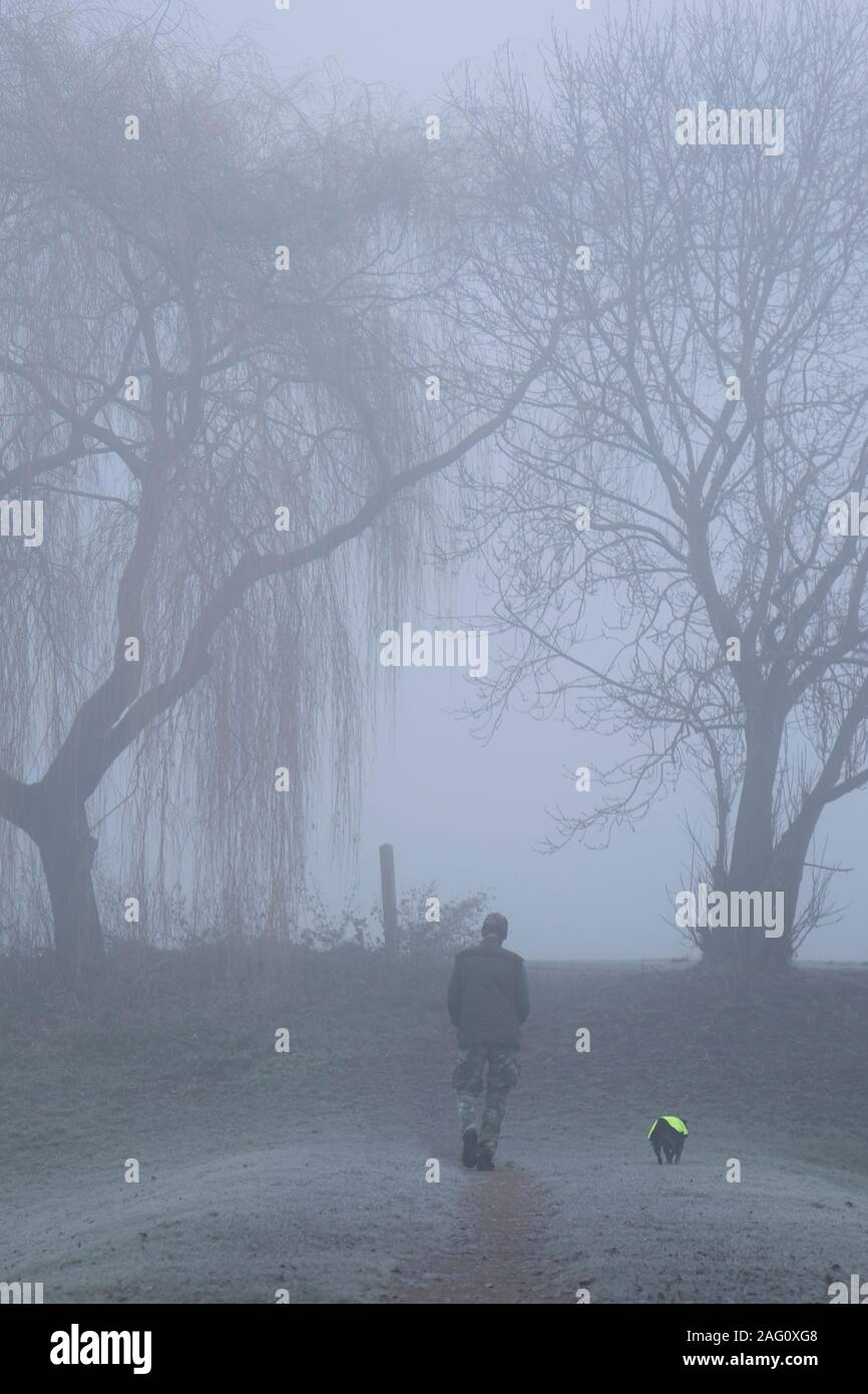 Verticale, vista posteriore di uomo solitario e il suo cane isolato all'aperto in nebbia gelida, a piedi dalla macchina fotografica verso gli alberi in un parco del Regno Unito. Atmosferica. Foto Stock