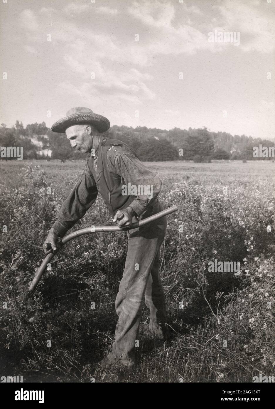 Nei primi anni del XX secolo vintage premere fotografia - contadino nella HAT di taglio del raccolto con la falce, Canada, c.1920 Foto Stock