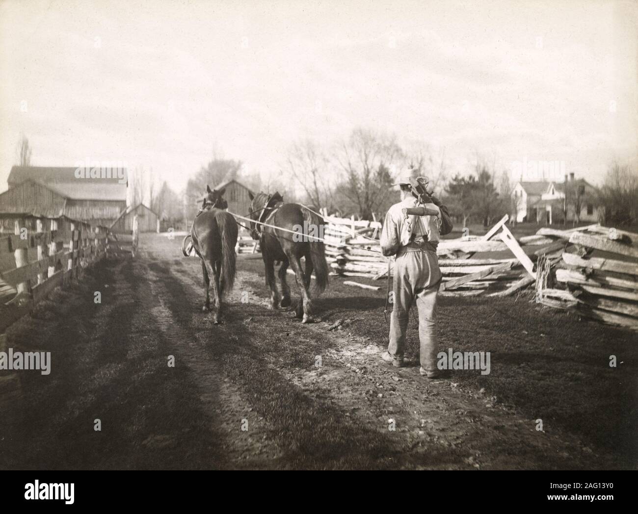 Nei primi anni del XX secolo vintage premere fotografia - contadino alla guida di una coppia di cavalli da lavoro. La rottura di cablaggio? Canada, c.1920 Foto Stock