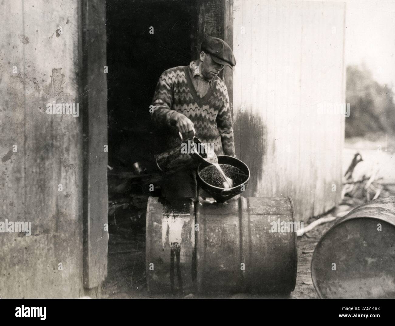 Nei primi anni del XX secolo vintage premere fotografia - olio di balena da bianco balene essendo versata in botti per esportazione dal Canada agli Stati Uniti. Foto Stock