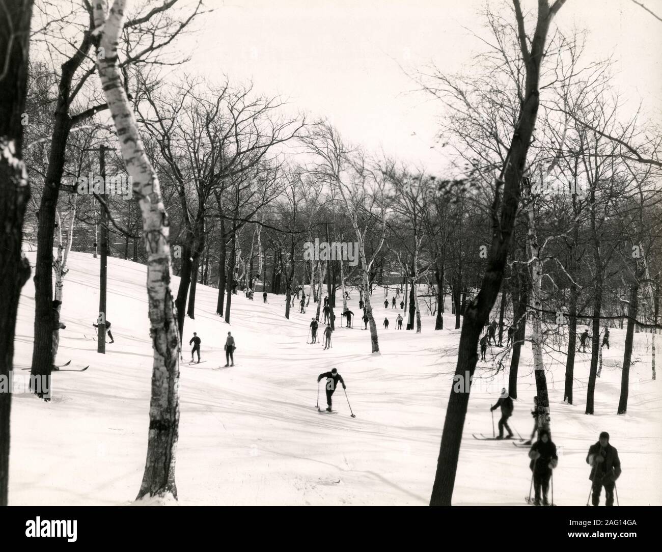 Nei primi anni del XX secolo vintage premere fotografia - gli sciatori sci tra gli alberi, Mont-Royal, Montreal, Canada Foto Stock