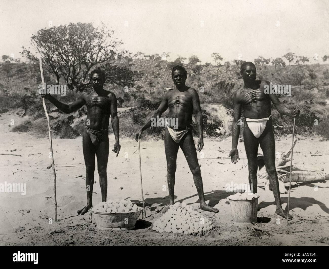 Nei primi anni del XX secolo vintage premere fotografia - aborigeni uomini tartarughe raccolta uova su una spiaggia in NW Australia, c.1920s Foto Stock