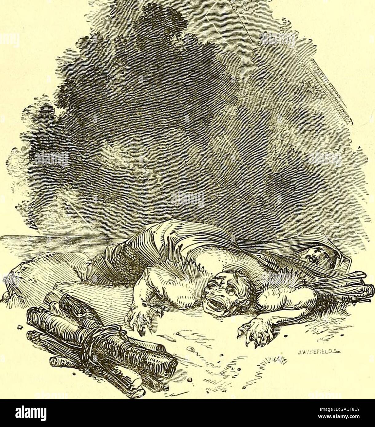 . Le commedie, storie tragedie e poesie di William Shakspere. rewell, arrivederci. [Canta drunkenly. Trin. Un ululato monster ; un mostro ubriaco. Cal. Non più dighe ho 11 fanno di pesce ; né fetch in firingAt che richiedono un Scamels. Questo è il ^vord dell'originale; e possiamo lasciarla come lo troviamo. La parola ha beenchanged in mare-mells, che i commentatori ci dicono è una specie di gabbiano. Sea-maw o mare-meiois una specie di uccello, e il sig. Dyce cita un passaggio in cui E. Holme iises sea-mall. Il sig. Dycethinks la parola giusta è staniels-falchi che frequenti alte scogliere sulla costa. Shakspere ha Foto Stock
