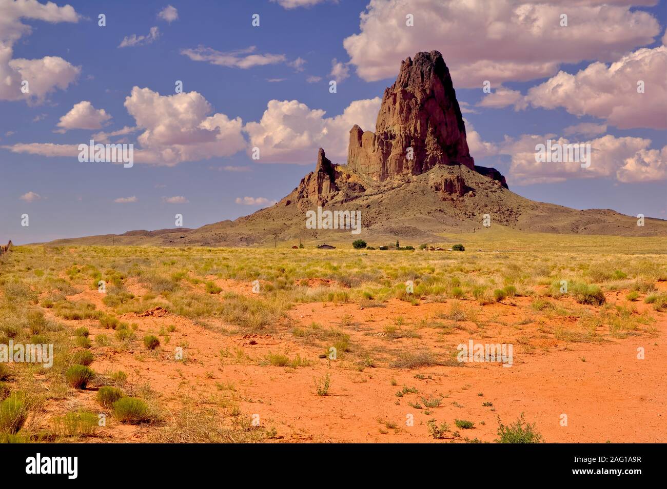 Un primo piano di picco Agathla dall'autostrada 163. Questo picco è soprannominato anche Arizona El Capitan a causa della sua somiglianza con il El Capitan. Foto Stock