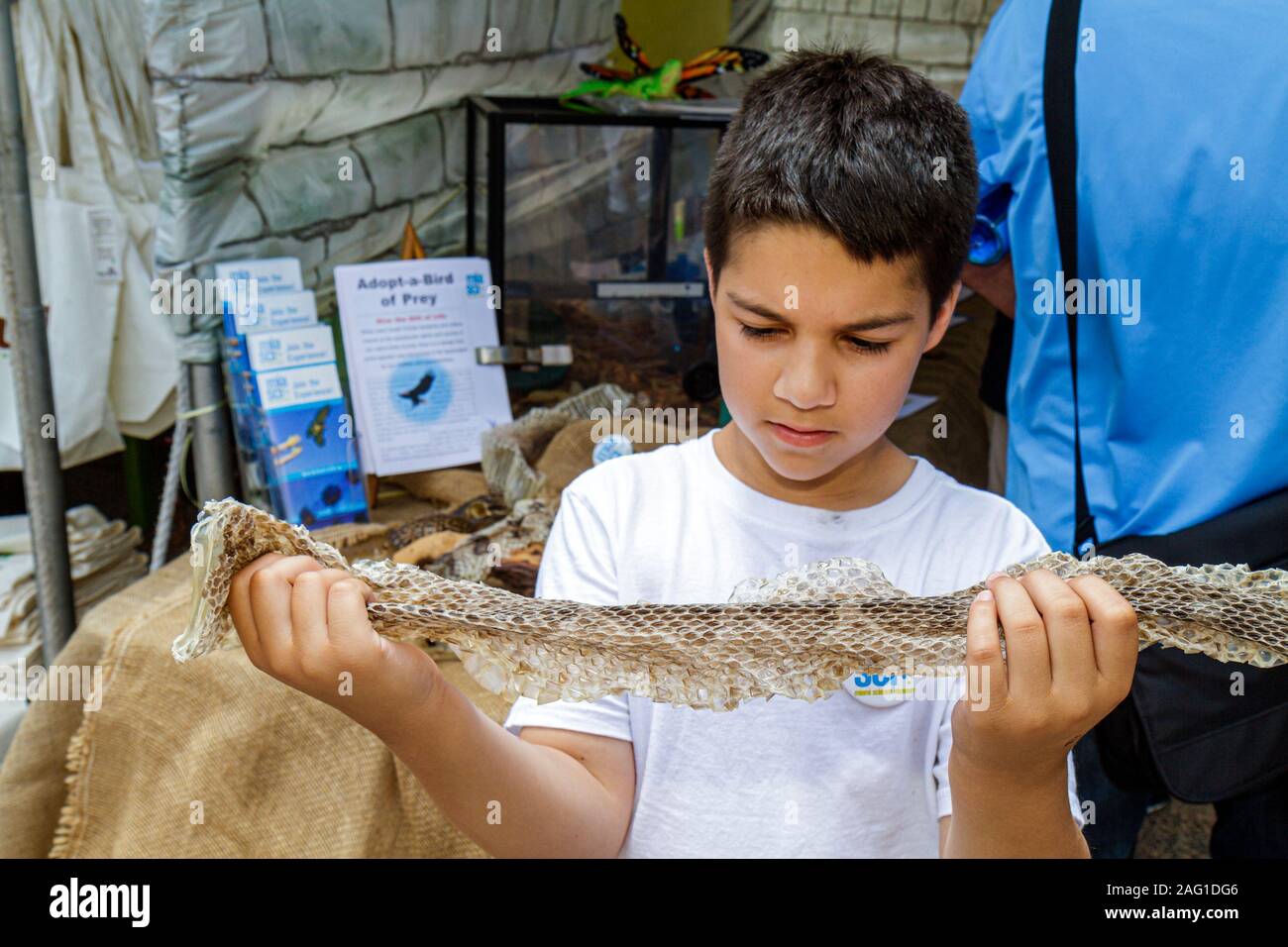 Miami Florida,Bayfront Park,Miami Goin' Green,Earth Day,evento,festival,eco friendly,espositore,pelle di serpente,spargimento,visitatori viaggi tour touri Foto Stock