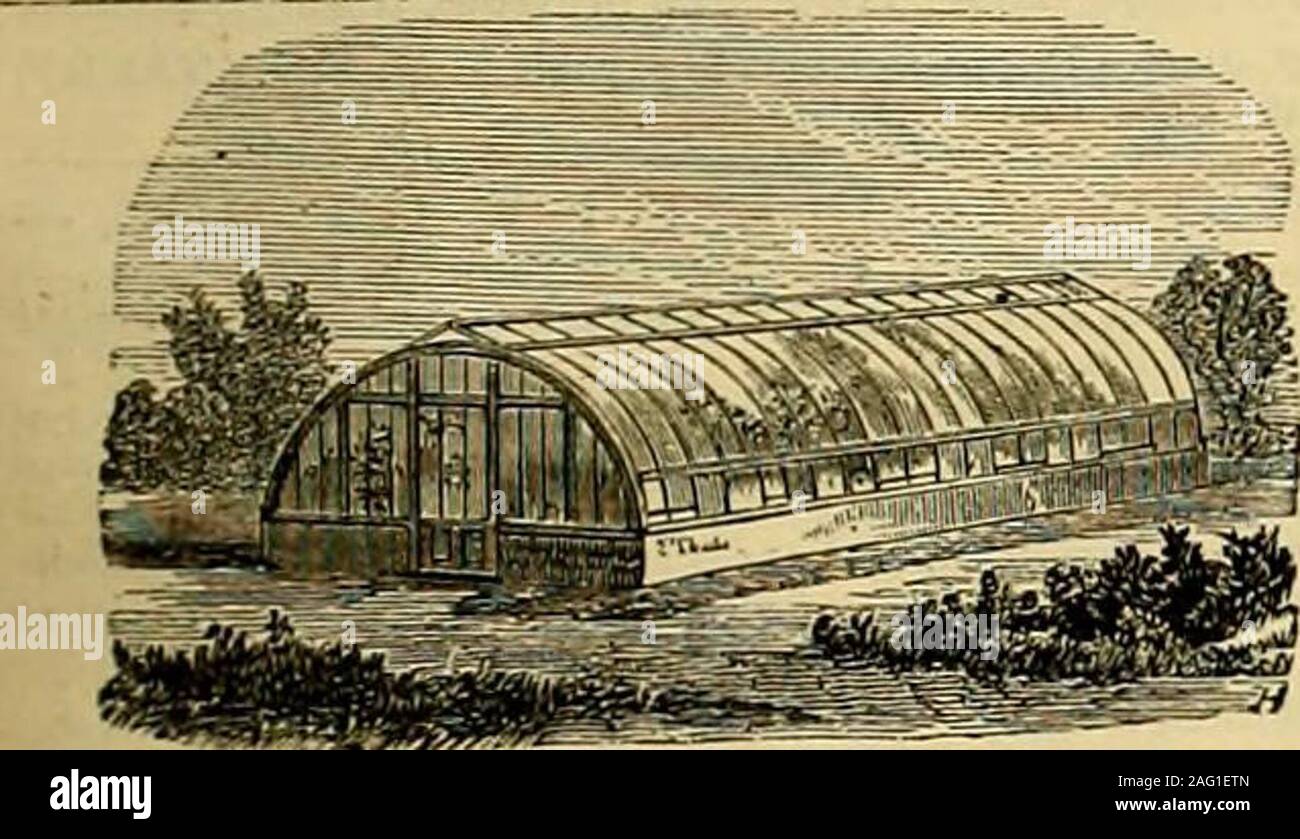 . I giardinieri' cronaca : un settimanale illustrato ufficiale di orticoltura e allied soggetti. iSiSJiiJ^ SEZIONE o brevetto VENTILATORE DEL TETTO Ilhistraticns, listini prezzi e Teitiviouiils fret. Hot-acqua apparecchiatura fissata in una qualsiasi parte del theKingdom e garantito. W. RICHARDSON & CO., orticole costruttori & Hot-ingegneri dell'acqua,DARLINGTON, Metallica HotHouse Builder per Der Maestà. HENRY SPERANZA (lale Clark & Speranza, precedentemente noto come Clark),HOTHOUSE Builder e hot-ingegnere WATERAPPARATUS.55. Lionel Street. Birmineham. Istituito A.D. 1818.libri di design, 5s. Ciascun.1^ Le ampie gamme di fucina metallico Foto Stock