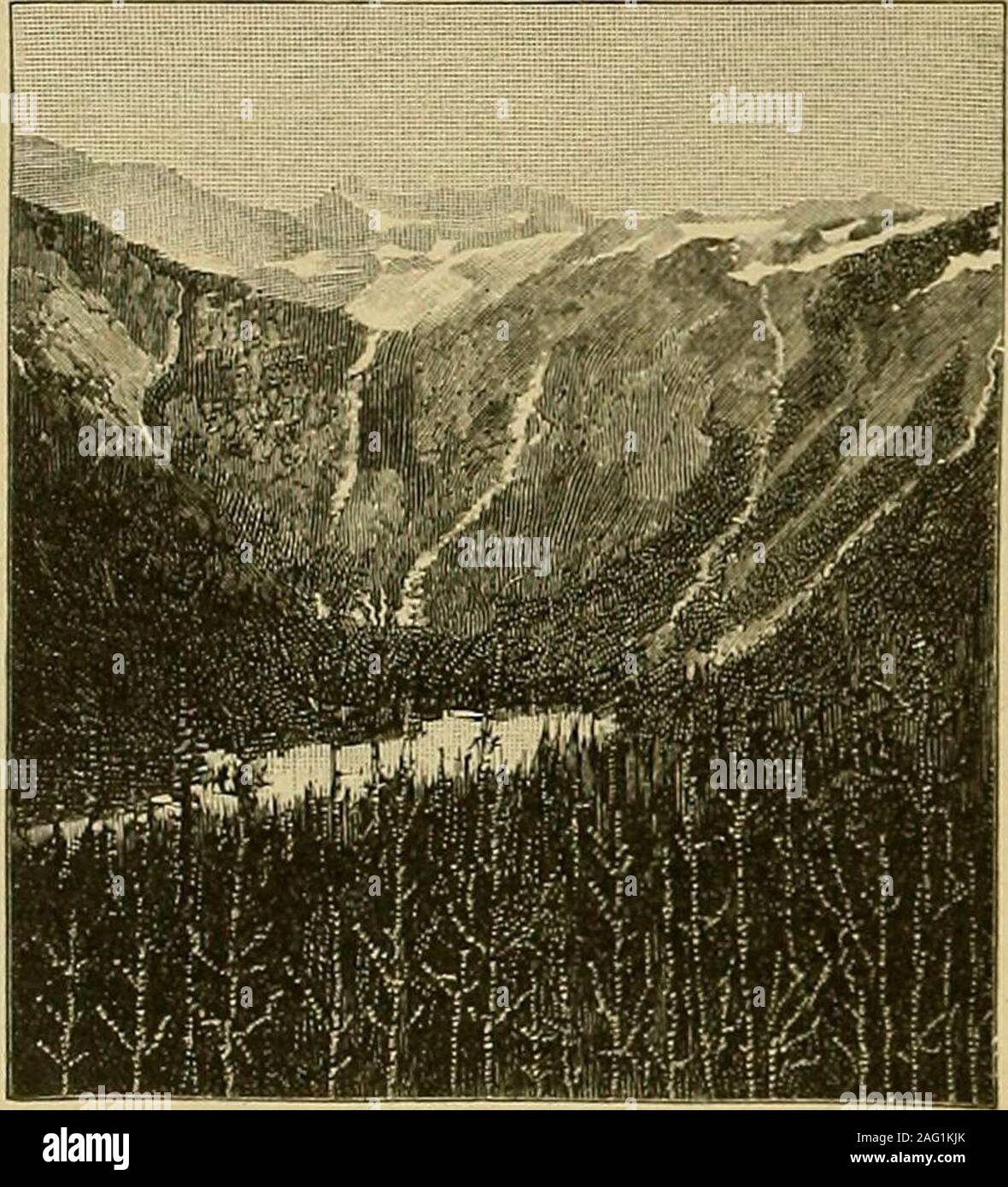 . Elementare geografia fisica;. y, Cascade e Sierra Nevada Mountainsavalanches sono frequenti, ma essi non sono così comuni come nelle Alpi. Nelle Alpi, dove le pendenze sono ripide, valanghe occurfrequently e regolarmente. In molti luoghi la valanga le vie sono come definitelymarked come fiume chan-nel. Infatti, uno mayconsider un avalanchetrack come torrentialpart di un flusso whoseflow è andspasmodic occasionali. Come themountain torrent, troppo,che porta a minore lev-els un enorme quantitàdi rock rifiuti. Non valanga onlyare coursesdistinctly contrassegnato, butexpert alpinisti areable per predire t Foto Stock