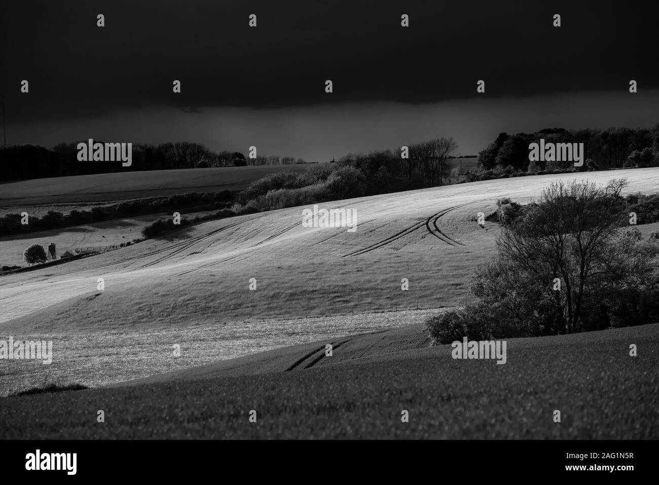 Lincolnshire Wolds, East Midlands, Regno Unito, maggio 2019, vista la campagna del Lincolnshire in bianco e nero Foto Stock