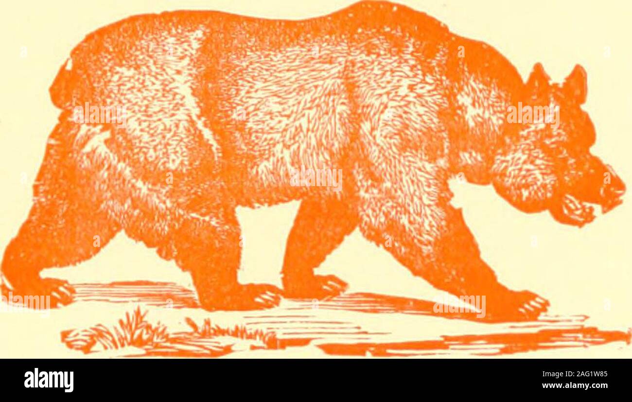 . Registro decennale della società di guerre coloniali nello stato della California e procedimento presso l'undicesima corte generale, 21 dicembre 1905. S Merchant, Santa Barbara Haynes, JOHN RANDOLPH medico, Los Angeles KLINK. GEORGE TIMOTHY Broker, San Francisco KULP, John Stewart grandi e chirurgo, U. S. A., Washington, D. C. LATHROP, CHARLES GARDNER Stanford University LEE, POZZETTI BRADNER avvocato, Los Angeles MOODY, Federico SCHANDER Merchant, Burlingame Nichols, HENRY ATHERTON banchiere, Cambridge, Massa Nichols. WILLARD ATHERTON Rancher, Rediands Pine Lodge Hotel, DANIEL BURLEIGH medico, Amherst, Mas Foto Stock