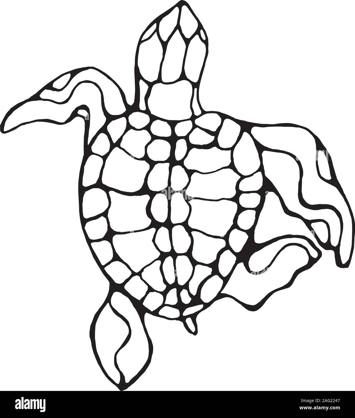 Illustrazione di un saggio di tartaruga. Nuoto turtle in movimento con ornamento. Illustrazione Vettoriale