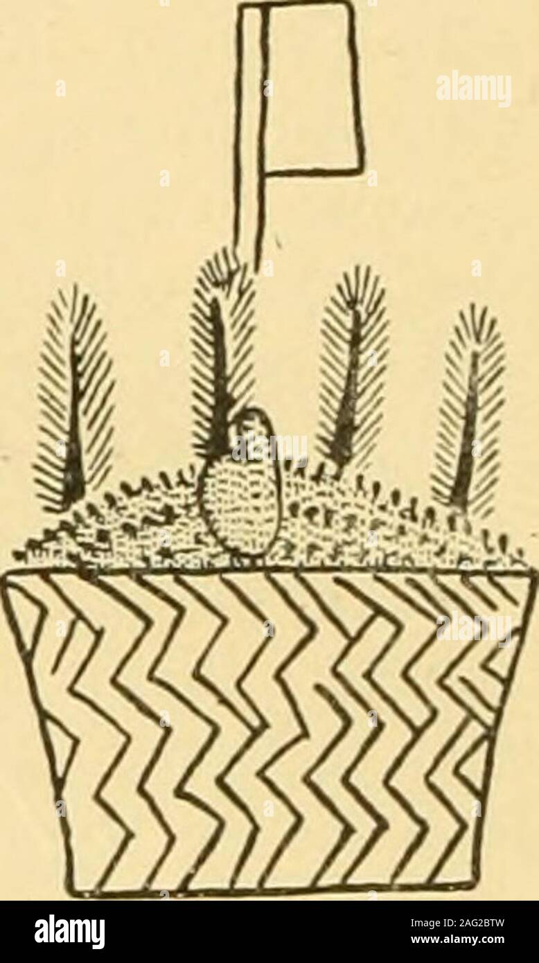 . Relazione annuale del Bureau of American etnologia al Segretario dello Smithsonian Institution. Fig. 31-simbolo per 100hatch-ets. Codex Mendoza, piastra39, figura 20. 12. 18 è il nostro figuie 33:. Questi quattro vari-cerchi colorati, che sono .spokenof nell'interpretazione come fiowers o come flowerlike, denotano 80 daj^s, ciascun cerchio indicante 20 giorni.la piastra 25, figura 11 (la nostra figura 34) è inter-preted 8.000 fogli di carta del paese(pliegos de papal de Tierra). Il reticolo a forma di figura è il numero sjmbol; questo è evidente dalla nextexample. Fig. :5.&GT;-simbolo per 20ba.sket.&LT;. Sfendoza Foto Stock