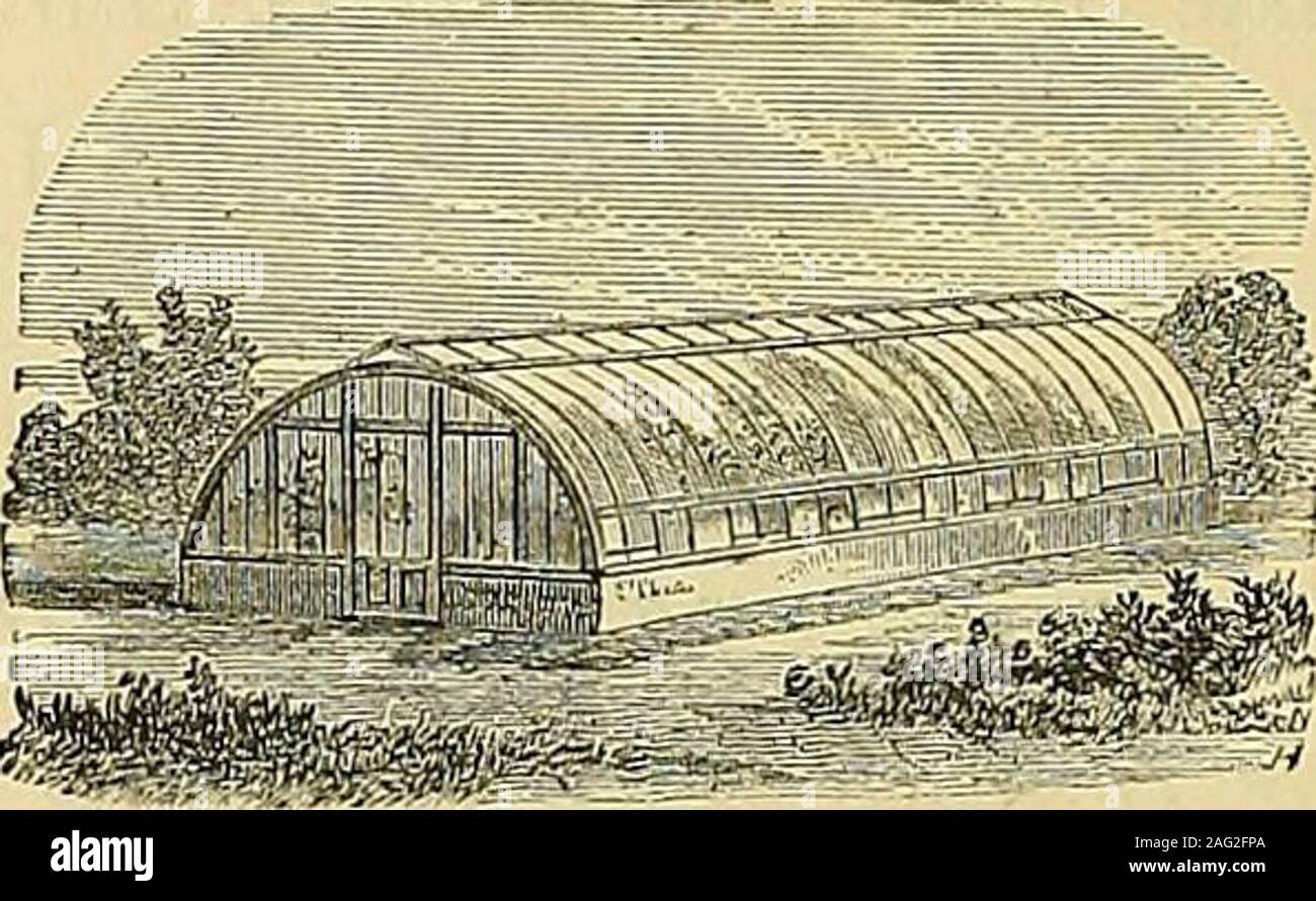 . I giardinieri' cronaca : un settimanale illustrato ufficiale di orticoltura e allied soggetti. s, i listini dei prezzi e le testimonianze libero. Hot-acqua apparecchiatura fissata in qualsiasi parte del Regno e garantito. W. RICHARDSON & CO., orticole costruttori & Hot-ingegneri dell'acqua,DABLINOTON. Fucina metallico Builder per lei ma]est7. HENRY SPERANZA (fine Clark & Speranza, precedentemente noto come Clark), HOTHOUSE Builder e acqua calda apparato tecnico. 55, Lionel Street, Birmingham. Istituito D.C. iSi8. Libri di design, 5s. ciascuna. SS le ampie gamme di serre metalliche nei Giardini Reali, Windsor e Osborne, erano e Foto Stock