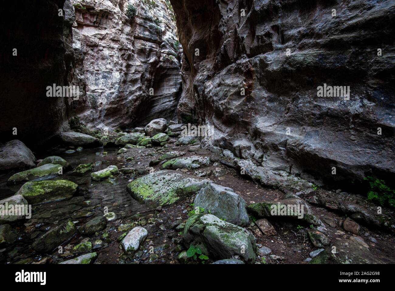 Il famoso, bello e pittoresco Avakas gorge alla penisola di Akamas , distretto di Paphos in Cipro Foto Stock