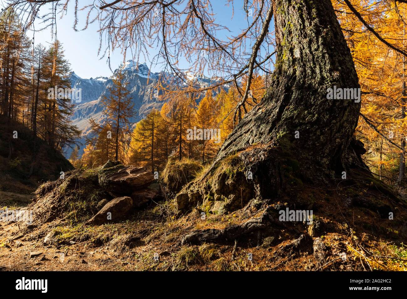 Vista sulle montagne intorno a Alpe Devero da Laghi del Sangiatto in autunno. Alpe Devero, valle Antigorio, Piemonte, Italia. Foto Stock