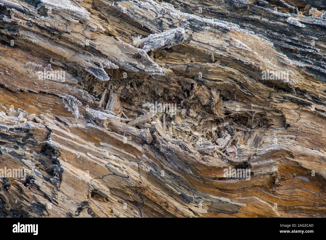 Texture astratta di legname congelati Foto Stock