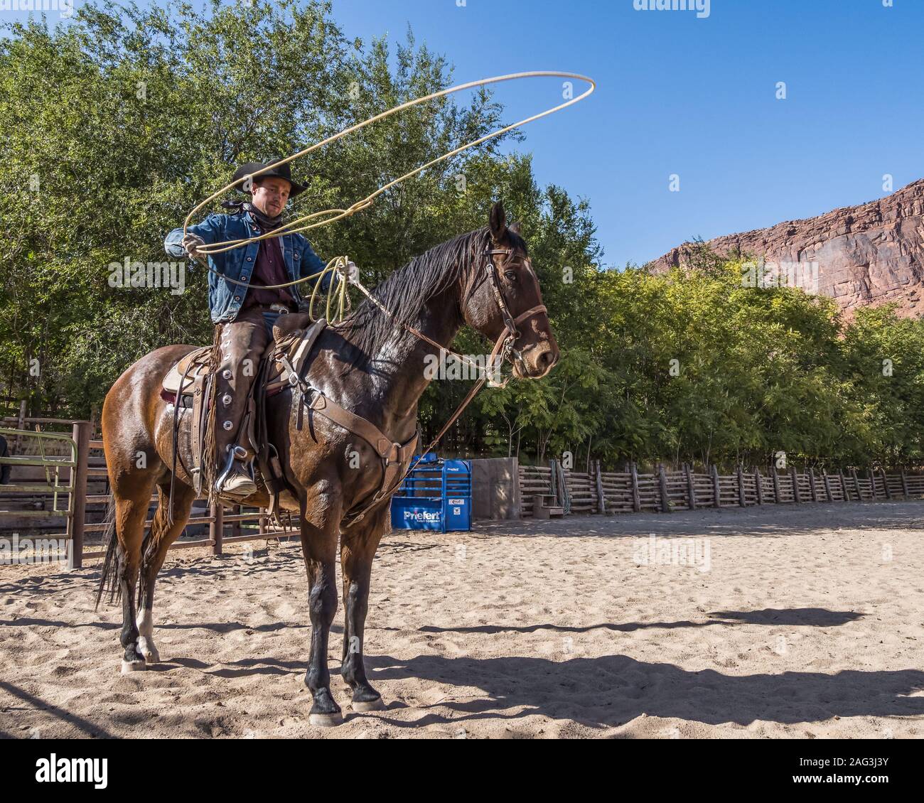 Un cowboy wrangler fa roteare il suo lariat su un ranch vicino a Moab, Utah. Egli indossa chaps in pelle per proteggere le gambe dalla spazzola spinosa mentre cavalcate la gamma Foto Stock