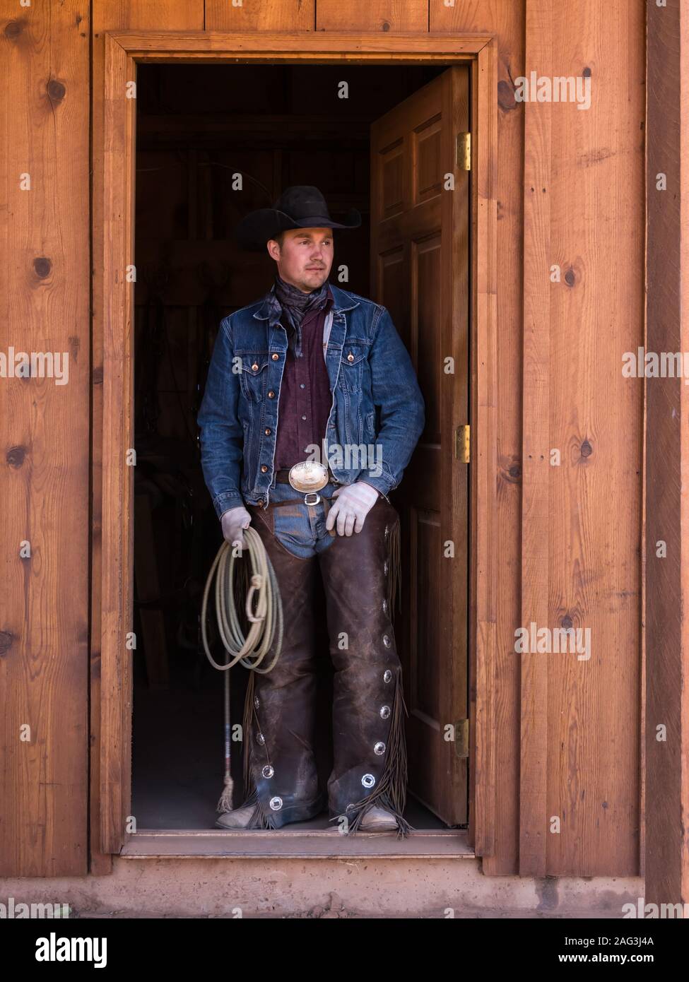 Un cowboy wrangler con il suo lazo sul Red cliffs ranch vicino a Moab, Utah. Egli indossa chaps in pelle per proteggere le gambe dalla spazzola spinosa durante la guida Foto Stock