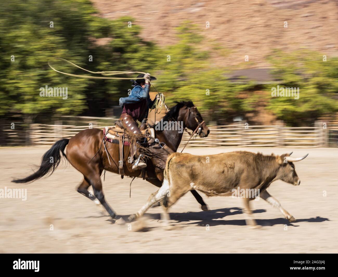 Una bassa velocità dell'otturatore produce la sfocatura in movimento e trasmette un senso di velocità quando si fotografano un cowboy roping un longhorn sterzare su un ranch vicino a Moab, Utah. Foto Stock
