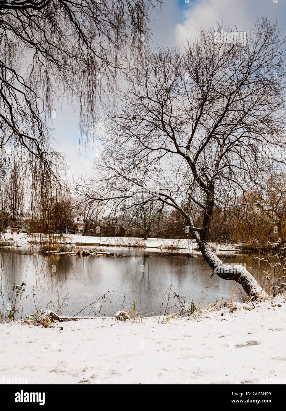Una fredda mattina visita alla mia zona naturale locale a Billingham, Charltons Pond. Parzialmente congelato e molto freddo. Foto Stock