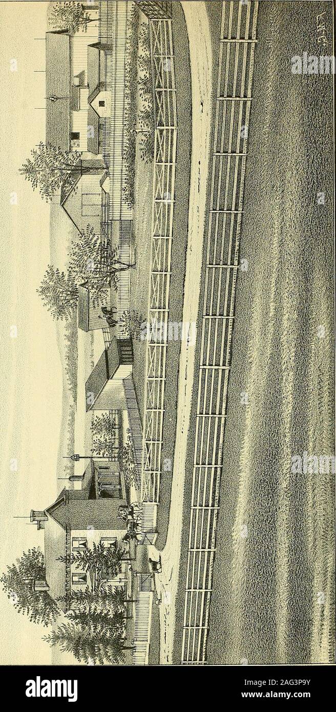 . La storia di Hamilton County, Ohio, con illustrazioni e schizzi biografici. ve stato dato loro-Oliva, LeonardW e un neonato. John J. Sater, sr., è nato a Crosby township, Giugno13, 1812, ed è stato un residente della contea di tutti hislife, ad eccezione di circa quattro anni, quando viveva in Butlercounty. Nel gennaio 1832, era sposato a MissNancy Larison, figlia di J. Larison, di Coleraintownship. Essi avevano tredici figli, Amos, Williamv., Maria, Jonathan J. L., Martin V. B., Jared, HannahE., Milton, Jasper N., John E., Ira, Anson e uno notnamed. Otto dei tredici sono ancora Foto Stock