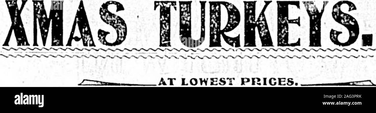 . Daily colono (1900-12-22). Ges a CUeapside. Bere Hondi, di purissimo e bestCovlon tisane. Il carbone Air-Tights, McOlarys rendere, atClarke & Pearsons. * Le donne potranno pranzo presso il Cafe per 25c,o tè pomeridiani e una fetta di torta per 15c. Georjro Powell & Go.maestoso gamme. Sono agenta fob per il natale.NUOVI SERVIZI IGIENICI BENI.LOWNBYS superba cioccolatini;PEBFUMES PINO. IN TAGLIO GLASSBOTTLES.Il nostro magazzino è completa. Il nostro priceright. DAVIES DBTJG STORE. 30e 32 Govt. San Open Day andNight. Per la vendita e RESIT molto diversi allevamenti di Nizza, su molto easyterms. Una selezione di case e villette sul piano In-Btnllment; buoni ed economici. S Foto Stock