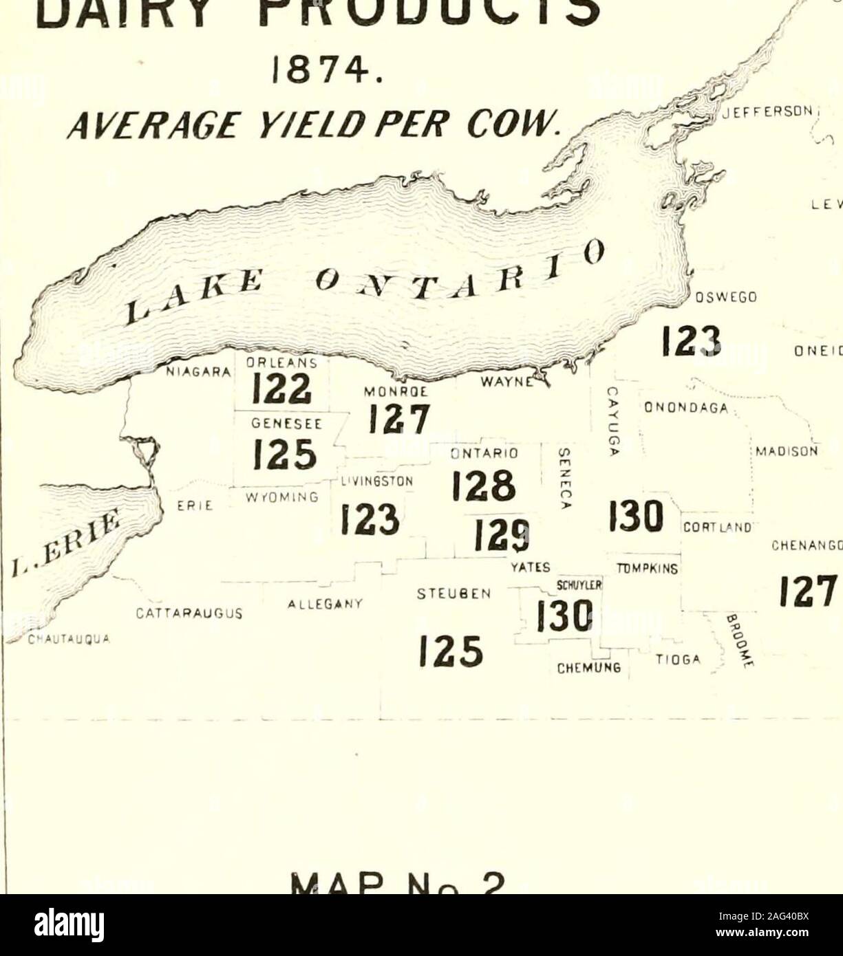 . Censimento della popolazione dello stato di New York per il 1875. Prodotti lattiero-caseari 1874.media Y/ELD PER VACCA. ~:^. .≪?• ST LAWRENCE FRANKLIN CLINTON ESSEX LEWIS MAM ILION WARREN Foto Stock