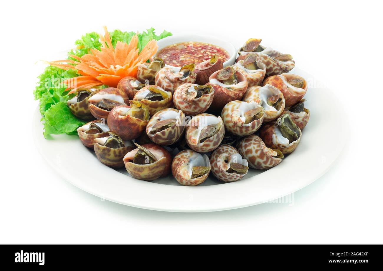 Vaporizzato Spotted Babilonia sbiancando (Mare Fresco Babylonia Areolata Shell) bollito) servita con frutti di mare piccante salsa cibo Thai Style goodtasty decorare wit Foto Stock