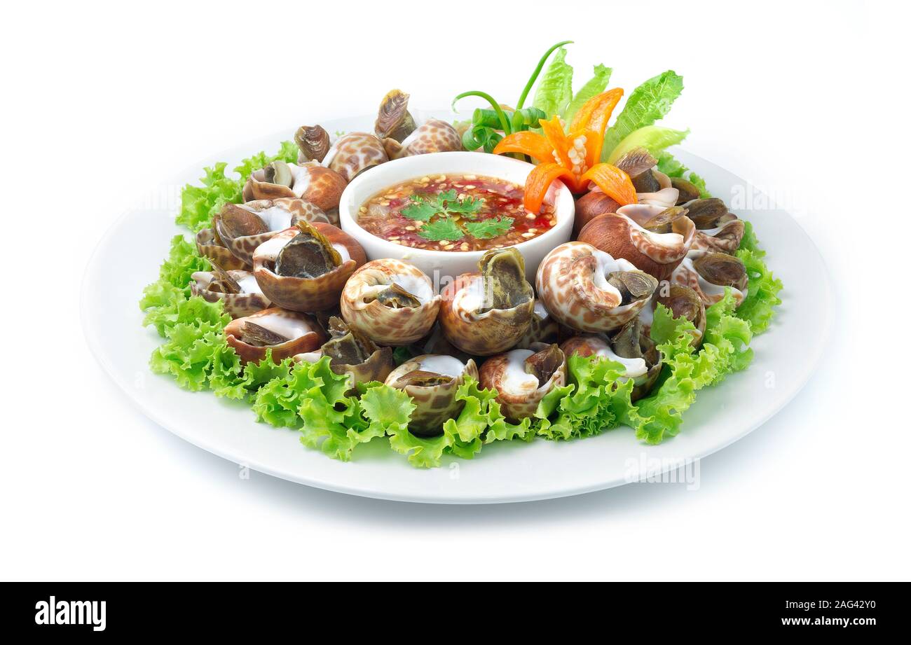 Vaporizzato Spotted Babilonia sbiancando (Mare Fresco Babylonia Areolata Shell) bollito) servita con frutti di mare piccante salsa cibo Thai Style goodtasty decorare wit Foto Stock