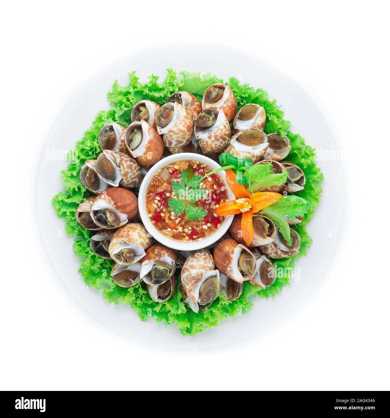 Vaporizzato Spotted Babilonia sbiancando (Mare Fresco Babylonia Areolata Shell) bollito) servita con frutti di mare piccante salsa cibo Thai Style goodtasty decorare wit Foto Stock