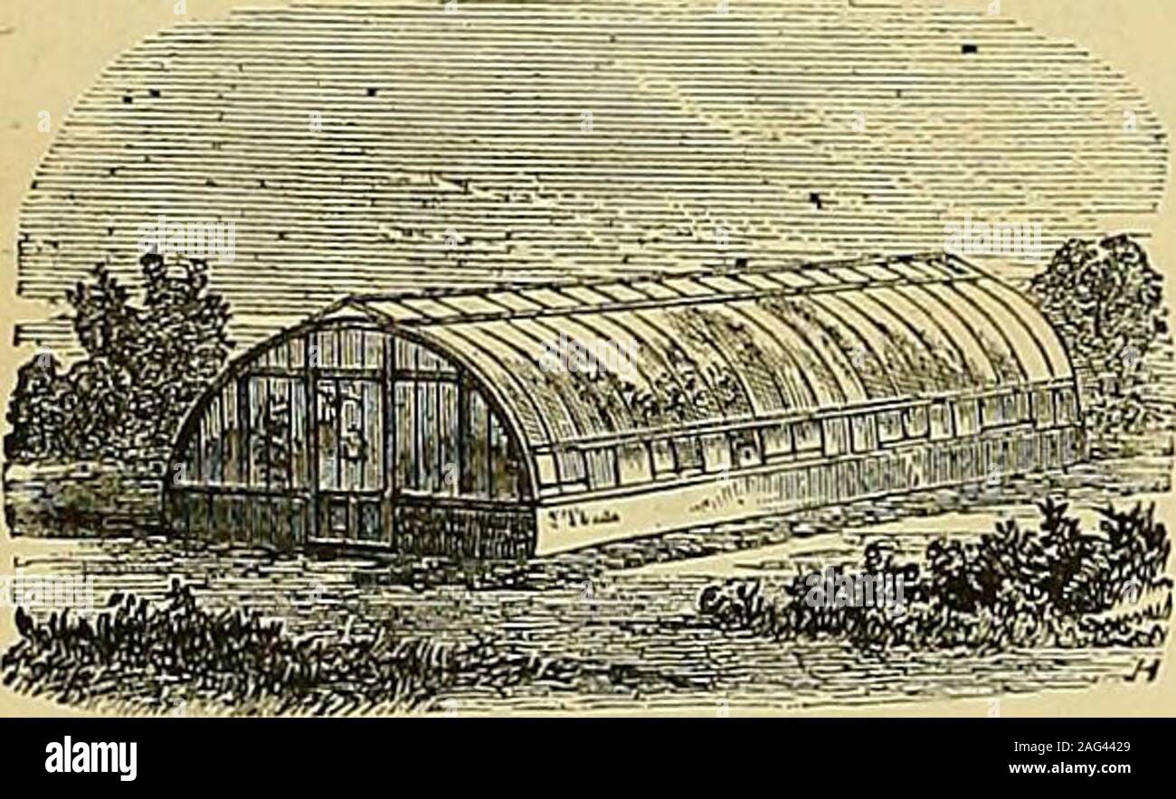 . I giardinieri' cronaca : un settimanale illustrato ufficiale di orticoltura e allied soggetti. J^^iii^i^i^ SrCTlON DEL BREVETTO VENTILATORE DEL TETTO Illusirations, i listini dei prezzi e le testimonianze libero. Hot-acqua apparecchiatura fissata in una qualsiasi parte del theKingdom e garantito. W. RICHARDSON & CO., orticole costruttori & Hot-ingegneri dell'acqua,DARLINGTON.. Il brevetto LASCELLES WOODCONSERVATORIES piegata e serre.-AllGardeners sapere che il legno è meglio di ferro per crescere vegetali-ing e dal sistema di cui sopra una bella casa curvo può beerected come a buon mercato come un normale diritta. La casa di curva è più resistente, s Foto Stock