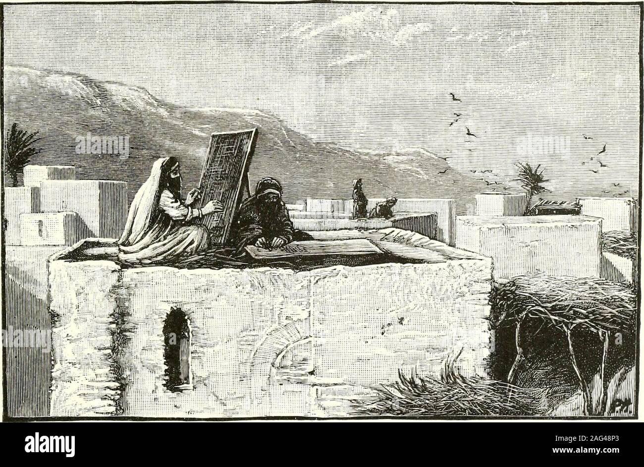 . Ridpath della storia universale : un account di origine, primitiva condizione etnica e sviluppo di grandi gare di umanità e dei principali eventi in evoluzione e il progresso della vita civile tra gli uomini e le nazioni, dal recente e fonti autentiche con un'indagine preliminare sul tempo, il luogo e il modo dell'inizio. ery del cielo. Qualunque weknow e pensare e inventare e scoprire gli ebrei.-GENIUS e arti. 275 nel mondo della natura materiale e ofthought e scopo, è stata almostexclusively derivato dall'intelletto-ual attività e acume del Aryanpe Foto Stock