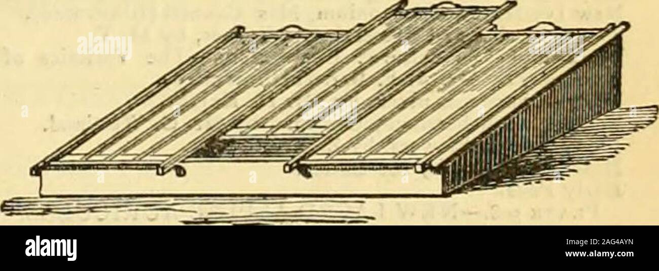 . I giardinieri' cronaca : un settimanale illustrato ufficiale di orticoltura e allied soggetti. fc/^-Vjriit-.^ji-; SEZIONE DI BREVETTO VCKTILATOR DEL TETTO. Illustrazioni, i listini dei prezzi e le testimonianze libero. Apparecchiatura Hot-Water fissata in qualsiasi parte di tlieKingdom e garantito. W. RICHARDSON & CO., orticole costruttori & Hot-Water ingegneri, Darlington. Serre. H FREEMAN e figli, HORTICUL-• tari per taluni costruttori e acqua calda ApparatusManufacturers, Cambridge Heath Bridge, Hackney, E.buona sostanzialmente in serre, satinato, pronto forfixing, 42 piedi lungo, 13 piedi largo, X50 : 21 piedi per 13 piedi, ^28 Foto Stock