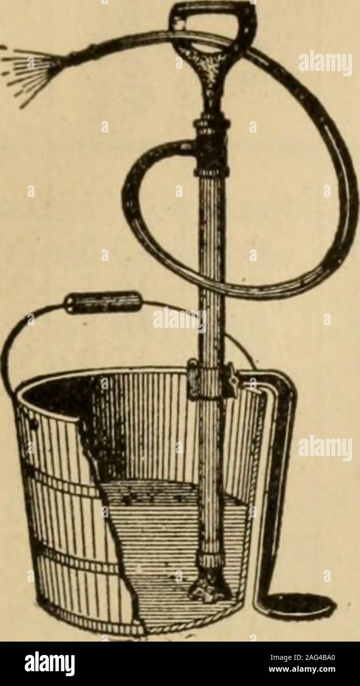 . Principi elementari dell'agricoltura; un libro di testo per le scuole comuni. emulsione è formata. (Fig. 231.) Il bulkof la miscela aumenterà di circa una metà nel processo e assumere la consistenza ofcream. A questo punto diluire a da venti a thirtygallons come desiderato. 12. Solubile o miscibile oli. In recentyears preparazioni a base di emulsioni di comuni sono probablynot così buona come calce-preparazioni di zolfo butmay essere applicato con meno fastidio quando solo poche piante sono a besprayed. Essi sono di solito venduti sotto i nomi dei proprietari. Allthat è necessario diluire con acqua e spray come diretto. Foto Stock