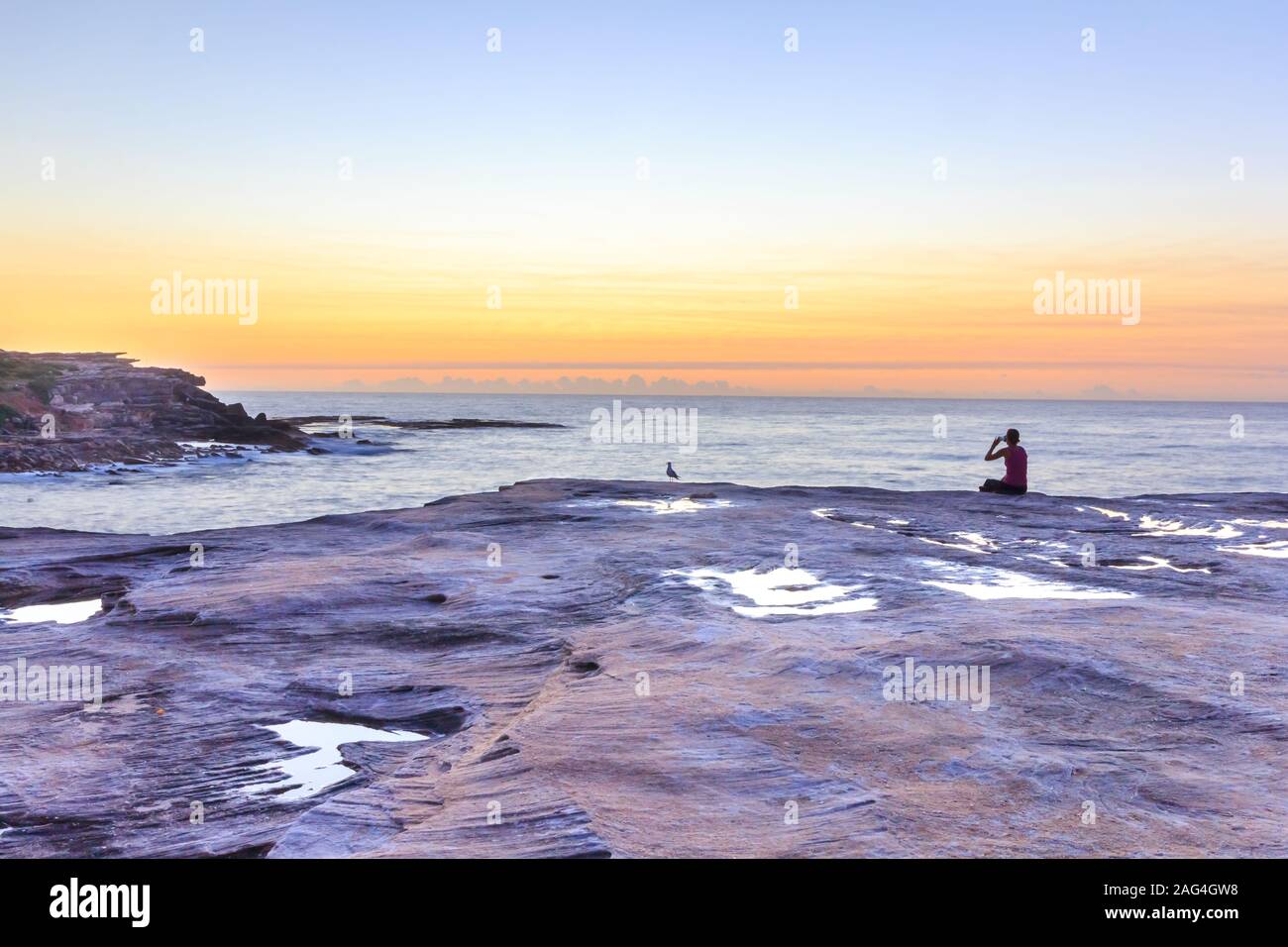 Silhouette di qualcuno di scattare una foto di sunrise e bird, Coogee, Sydney, Australia Foto Stock