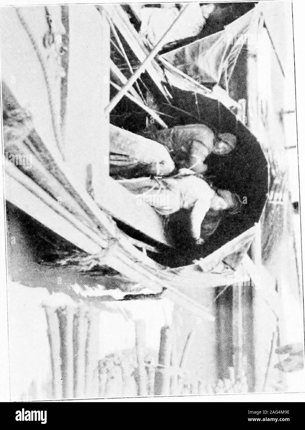 . Il giallo angel. vita. Lei non ha potuto lasciare il mondo di 234 l'angelo giallo luce! In serata il cielo youngmoon e una stella brillò vagamente. Profumo di gigli ofChinese e rango odore di vacanza cook-ing alimentato le narici. Ma lei non ha avuto alcuna parte nella stagione felice. Nuovamente il costume luminoso della Luna Dee ar-riposato il suo sguardo e ^pianse perché il girldid di non ritorno. I diavoli mano era urgente! Sensuousattractions del vecchio quartiere erano di fading e nuovamente la nebbia era formando prima hereyes. La donna morente, nato a male andpitiful destino il destino ha cominciato a vedere attraverso la sua anima lingeringheathen. Foto Stock