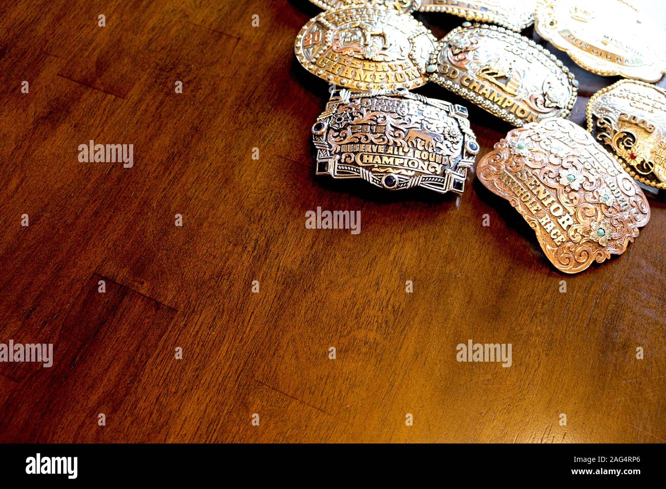 Raccolta di Trofeo Western fibbie della cintura di sicurezza posteriore Foto Stock