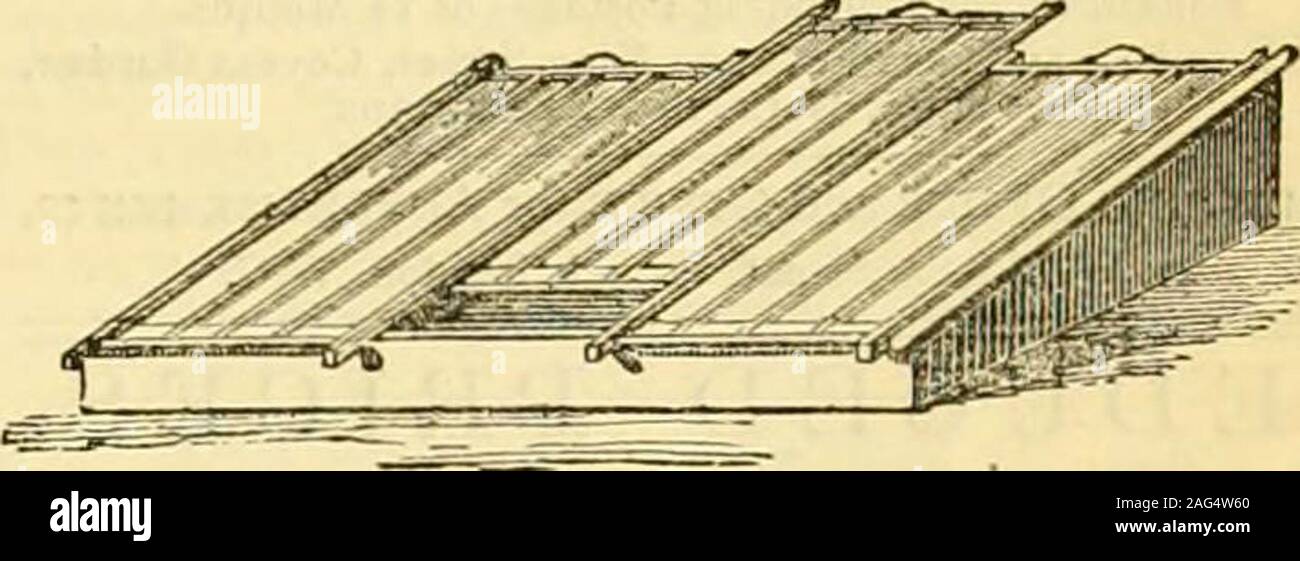 . I giardinieri' cronaca : un settimanale illustrato ufficiale di orticoltura e allied soggetti. La SEZIONE DEL TETTO DI BREVETTO VCNTIIJITOR. Illustrazioni, i listini dei prezzi e le testimonianze libero. Apparecchiatura Hot-Water fissata in qualsiasi parte di tlieKingdom e garantito. W. RICHARDSON & CO., orticole costruttori & Hot-Water Engineers,Darlington. A. & J. MAINSMELON o telai di cetriolo.. Questi telai sono vetrate wuh 2i-oz. gl;iss e threecoats verniciato vernice migliore. Il telaio è di 24 pollici alto sul retro e13 pollici sulla parte anteriore : i lati sono a % di pollice ihick, e le barre di thehghts 2 pollici profondo. Il legno utilizzato è il migliore s Foto Stock