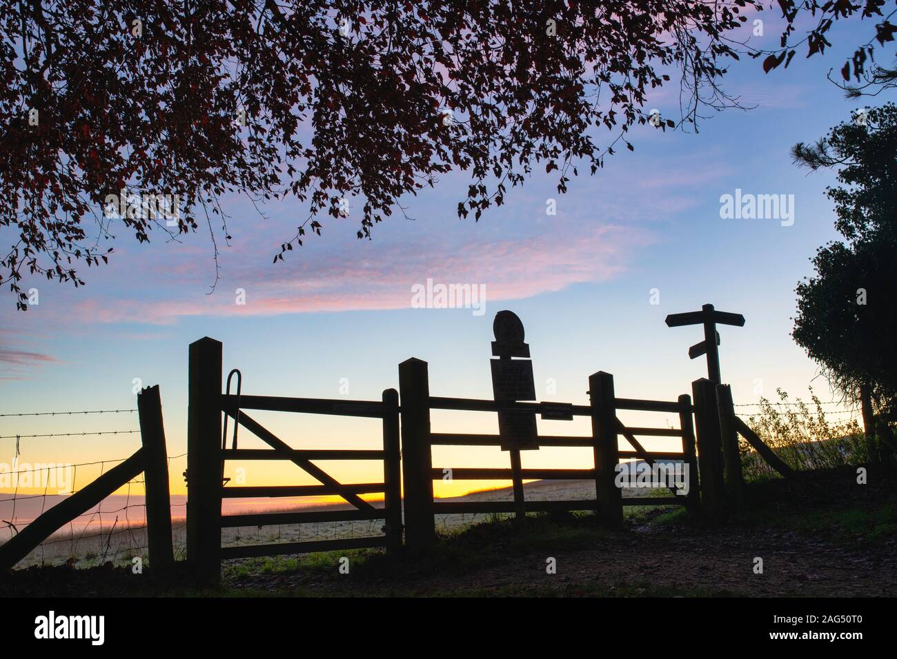 Silhouette di alberi di gate e firmare messaggi prima del sorgere del sole vicino al White Horse Hill. Uffington, Oxfordshire, Inghilterra Foto Stock