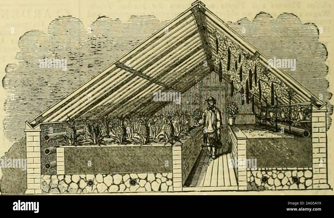 . I giardinieri' cronaca : un settimanale illustrato ufficiale di orticoltura e allied soggetti. Tetti CONSTRXJCTED SU SIB GIUSEPPE BREVETTO PAXTONS PRINCIPIO PER TUTTI I TIPI DI FRUTTA E VERDURA, in crescita sia come portatile o strutture permanenti. Testimonianze e Illustratea Listini {notevolmente ridotto) gratis su richiesta.un manuale contenente diverse viste di case, suggerimenti per il riscaldamento, la cultura di vigneti e alberi da frutto, per 12 francobolli. HOT-^VATER riscaldamento per tutti gli scopi di -con qualsiasi ragionevole forma di caldaia-fisso completo per qualsiasi misura.Prezzi ^ivcn a dettagliate descrizioni o al piano figurato e Foto Stock