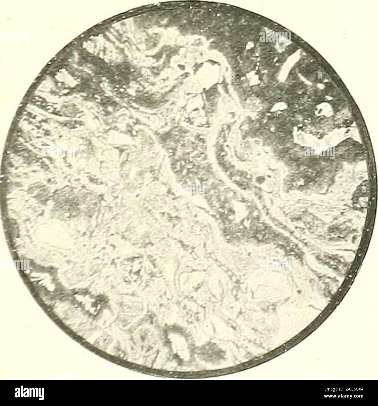. Memorie di Servizio Geologico di India. Fig. 3.. Fig. 2. Foto Stock